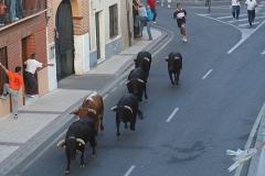 Fiestas de Los Novillos