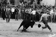 Cortes
