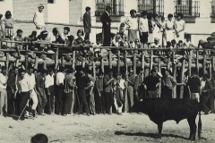 TorosPlazaMayor2