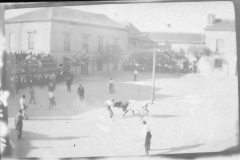 Toros