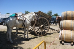 II Feria del Caballo 2009